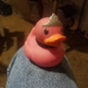 Meet your Posher, Dan